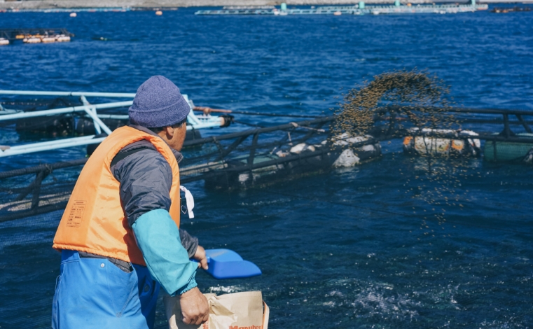 EPの割合を増やす
